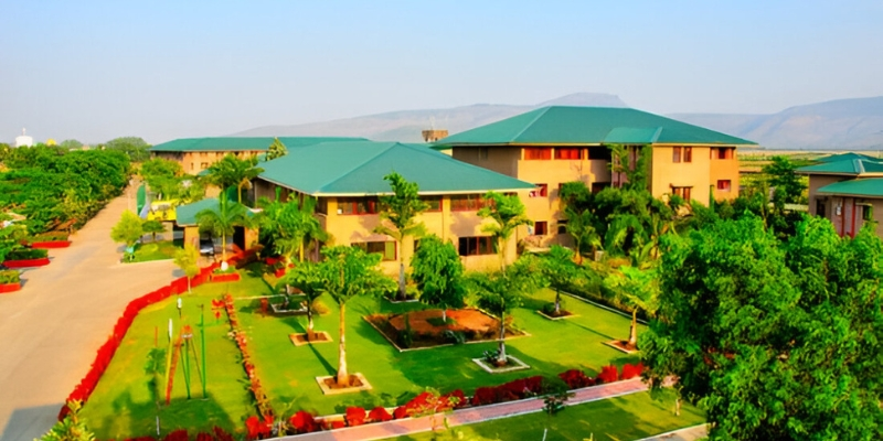 Cathedral Vidya School